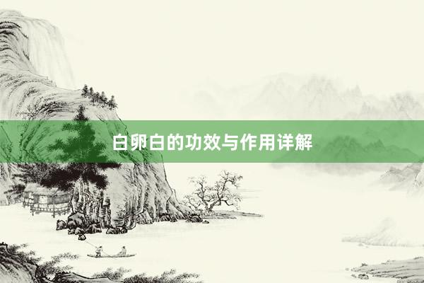 白卵白的功效与作用详解
